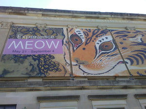 MEOW: A Cat Inspired Museum Exhibition