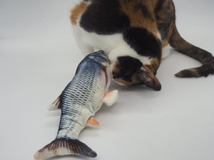 Gone-Fishing Electronic Catnip Toy